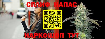 гидра Будённовск