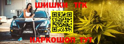 гидра Будённовск