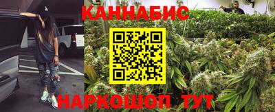 гидра Будённовск