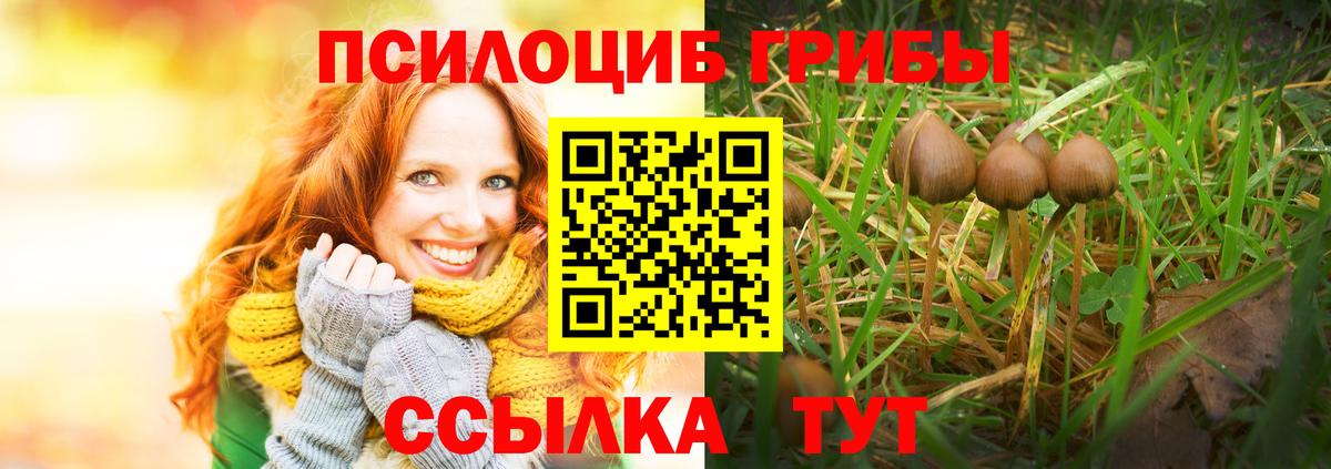 Полевской  Псилоцибиновые грибы мицелий  Вход с VPN 