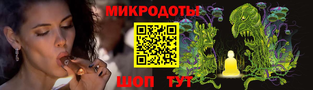 Псилоцибиновые грибы Psilocybe Полевской